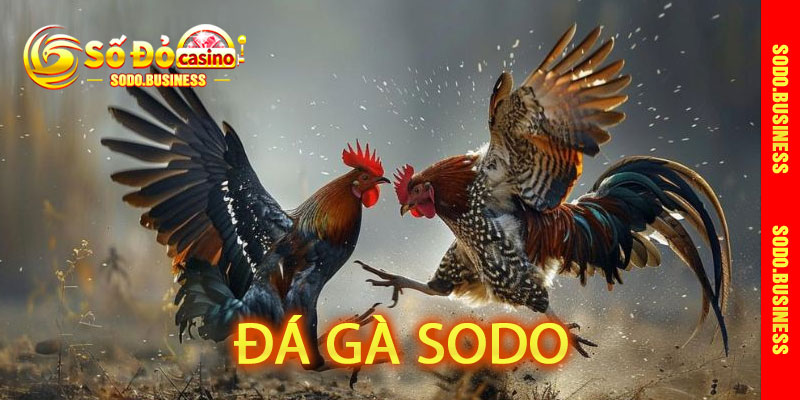 Đá Gà Sodo